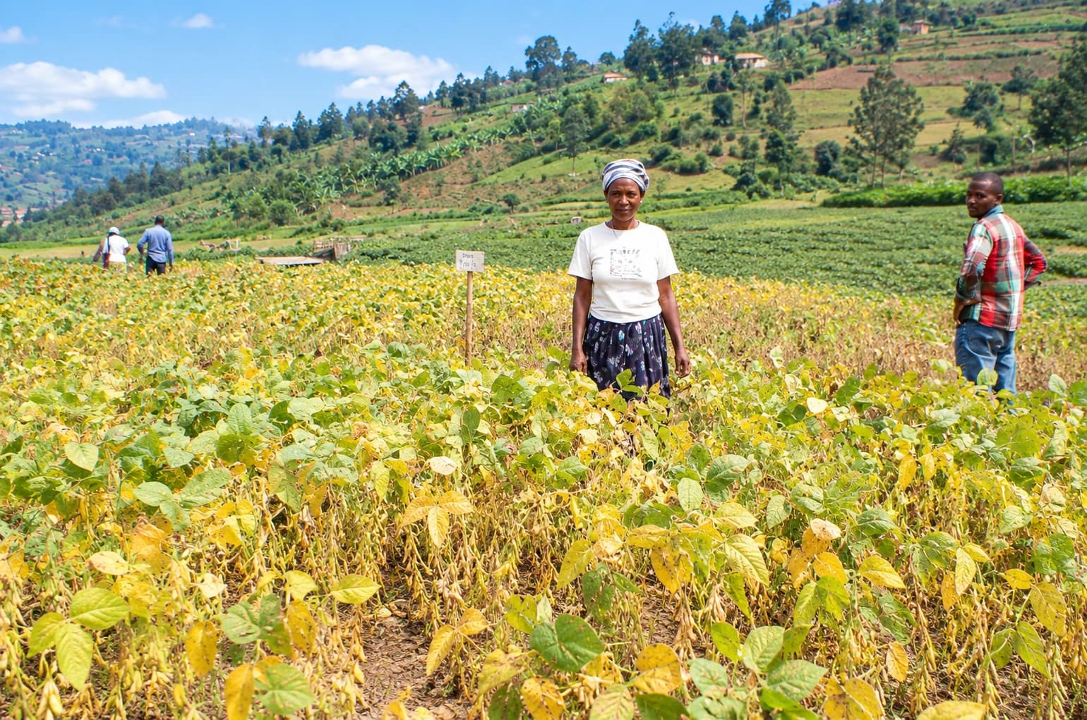 Greater Women & Youth Economic Empowerment
