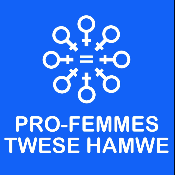 PRO-FEMMES TWESE HAMWE logo